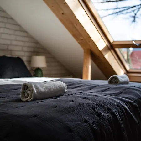 샬레 Zakoznami-willa Elinek