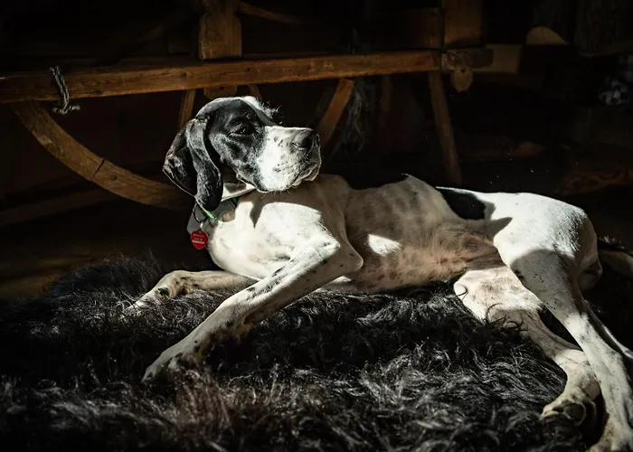 Zakoznami-willa Elinek * زاكوباني